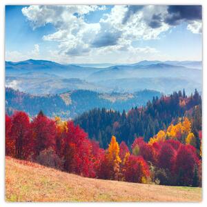 Obraz jesennej prírody (Obraz 30x30cm)