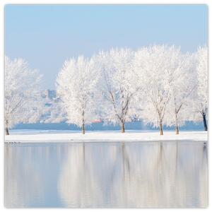 Obraz - zimná príroda (Obraz 30x30cm)