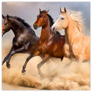 Moderný obraz koní (Obraz 30x30cm)