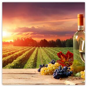 Obraz - víno a vinice pri západe slnka (Obraz 30x30cm)