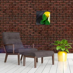 Obraz citrónu na stole (Obraz 30x30cm)