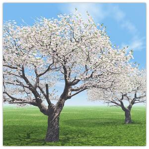 Obraz kvitnúceho stromu na jarné lúke (Obraz 30x30cm)