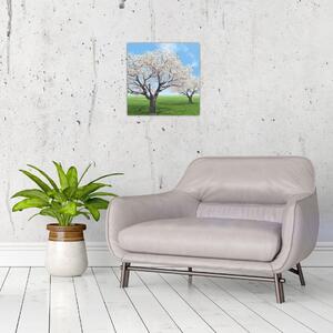 Obraz kvitnúceho stromu na jarné lúke (Obraz 30x30cm)
