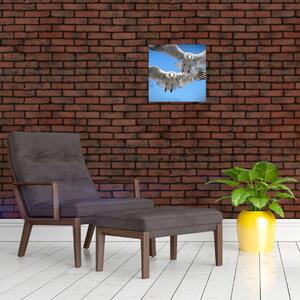 Obraz do bytu - vtáky (Obraz 30x30cm)