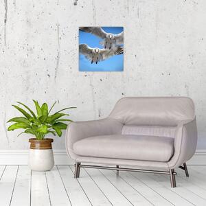 Obraz do bytu - vtáky (Obraz 30x30cm)