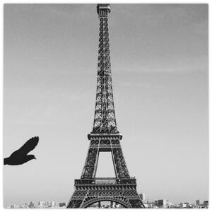 Obraz - Eiffelova veža (Obraz 30x30cm)
