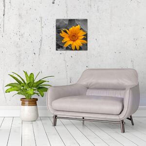 Obraz oranžového kvetu (Obraz 30x30cm)