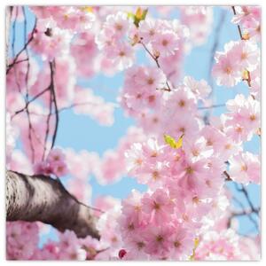 Kvitnúce strom - obraz (Obraz 30x30cm)
