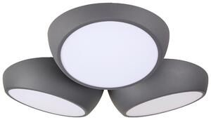 STROPNÉ LED SVIETIDLO, 52/48,5/12,5 cm Novel - Interiérové svietidlá
