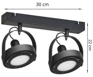 Stropné LED svietidlo CHEST, 2xLED max.9W, (výber z 2 farieb), (možnosť polohovania)