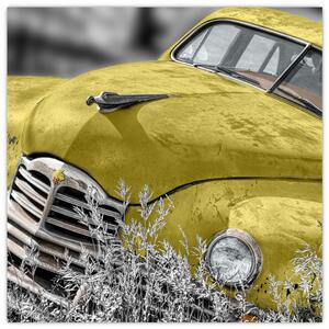 Obraz žltého autá na lúke (Obraz 30x30cm)