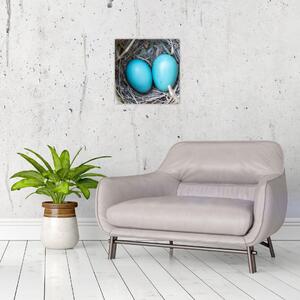 Obraz modrých vajíčok v hniezde (Obraz 30x30cm)