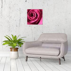 Obraz ružové ruže (Obraz 30x30cm)