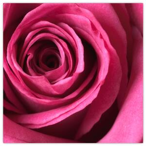 Obraz ružové ruže (Obraz 30x30cm)