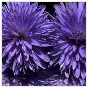 Obraz fialových kvetov (Obraz 30x30cm)