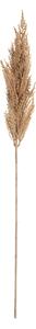 Vetvička trávy pampas 90cm beige