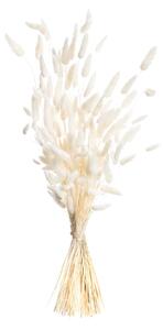 Kytica fúkačiek 60cm cream