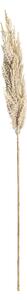 Vetvička trávy pampas 90cm cream