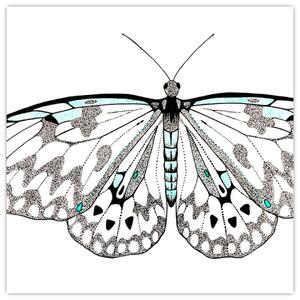 Čiernobiely motýľ (Obraz 30x30cm)