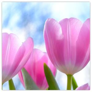 Obraz ružových tulipánov (Obraz 30x30cm)
