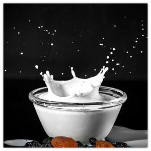 Obraz misky s mliekom (Obraz 30x30cm)