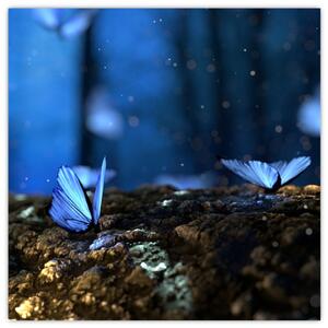 Obraz - modrí motýle (Obraz 30x30cm)