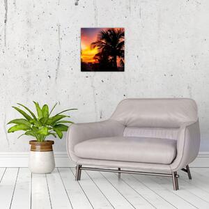 Obraz palmy na stenu (Obraz 30x30cm)