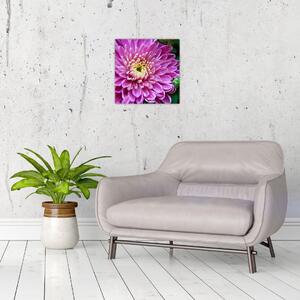 Obraz kvetu na stenu (Obraz 30x30cm)