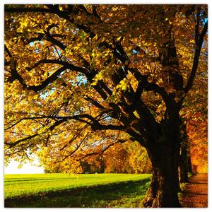 Obraz jesennej krajiny (Obraz 30x30cm)