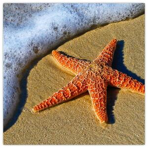 Obraz s morskou hviezdou (Obraz 30x30cm)