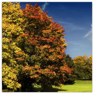 Jesenná krajina, obraz (Obraz 30x30cm)