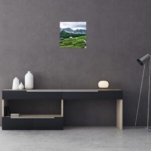 Údolie hôr - obraz (Obraz 30x30cm)
