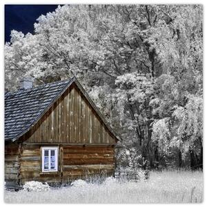Chaloupka v zime, obrazy (Obraz 30x30cm)