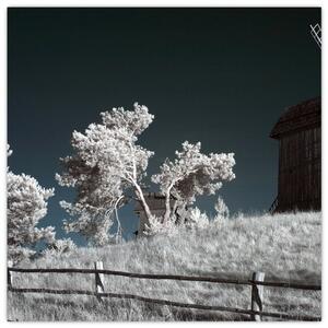 Veterný mlyn, obraz (Obraz 30x30cm)