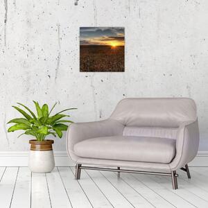 Západ slnka na poli - obraz na stenu (Obraz 30x30cm)