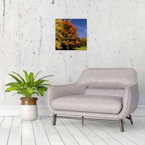 Jesenné stromy - obraz do bytu (Obraz 30x30cm)