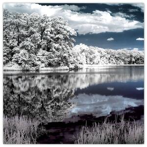 Zimná krajina - obraz (Obraz 30x30cm)