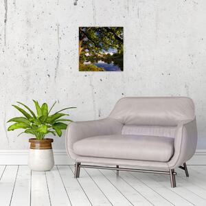 Obrázok stromu - moderné obrazy (Obraz 30x30cm)