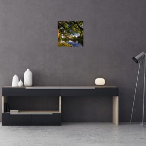 Obrázok stromu - moderné obrazy (Obraz 30x30cm)