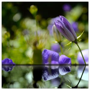 Modrá kvetina - obraz (Obraz 30x30cm)