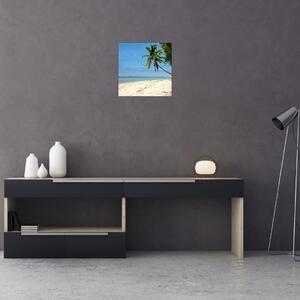 Fotka pláže - obraz (Obraz 30x30cm)