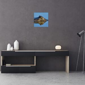 Ostrov - obraz (Obraz 30x30cm)