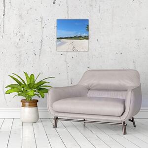 Exotická pláž - obraz (Obraz 30x30cm)