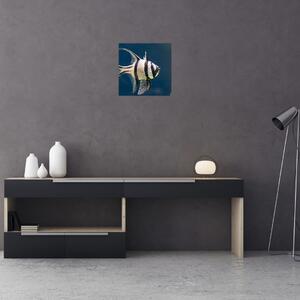 Ryba - obraz (Obraz 30x30cm)