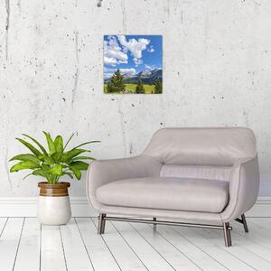 Fotka hôr - obraz (Obraz 30x30cm)