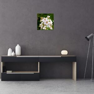 Kvetina - obraz (Obraz 30x30cm)
