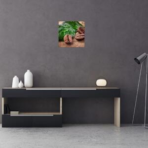 Kávové zrná - obraz na stenu (Obraz 30x30cm)