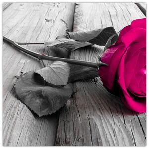 Ruže fialová - obraz (Obraz 30x30cm)