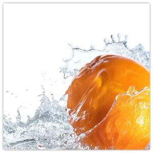 Obraz pomaranče (Obraz 30x30cm)