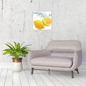 Citron- Obraz (Obraz 30x30cm)